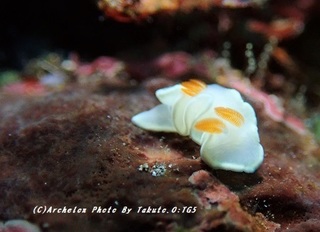 191113-t-04herishi.jpg