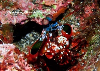 191114-t-02monhana.jpg