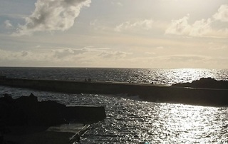 191124-kujira01.jpg