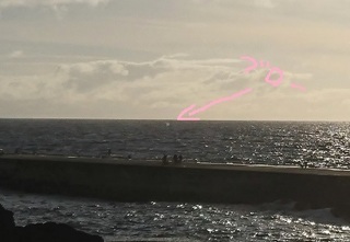 191124-kujira02.jpg