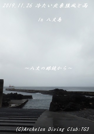 191126-ya02.jpg