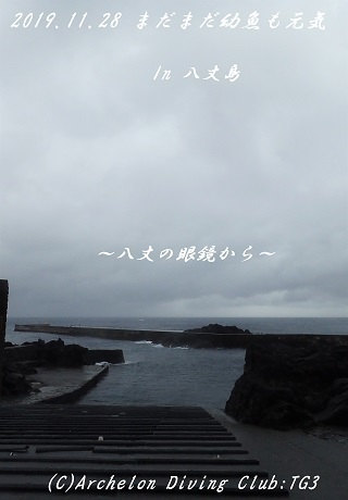 191128-ya02.jpg