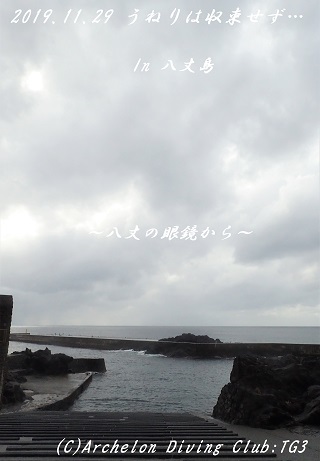 191129-ya02.jpg