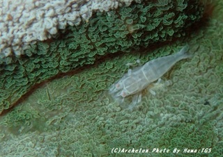 191130-ha-02warai.jpg