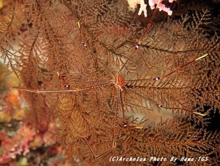 191130-ha-07oruto.jpg
