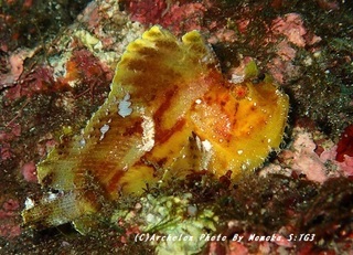 191205-sey-09hadaka.jpg
