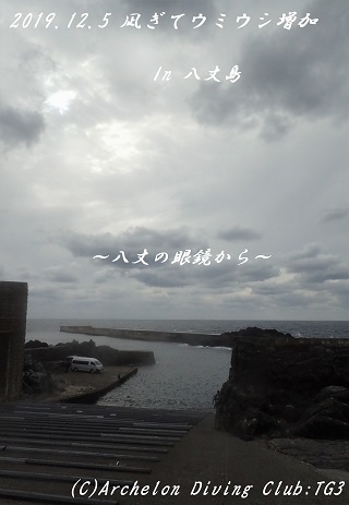 191205-ya02.jpg
