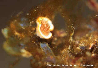 191220-nori-03kyara.jpg