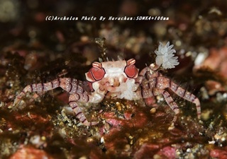 191222-h-06kinchaku.jpg