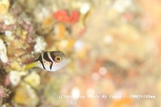 200115-t-03shimaki.jpg