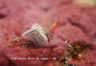 200116-t-01toumon.jpg