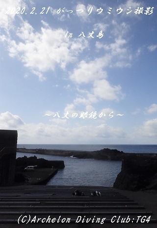 200221-ya02.jpg