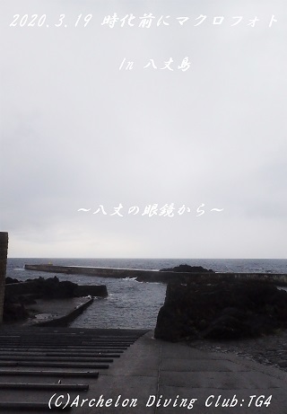 200319-ya02.jpg
