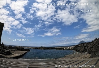 200501-ya02.jpg