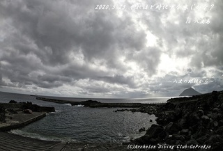 200523-ya02.jpg