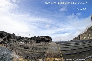 200611-ya02.jpg