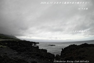200613-ara02.jpg