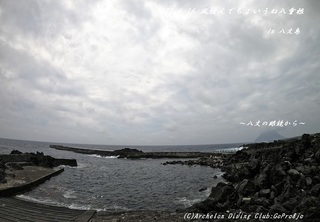 200616-ya02.jpg