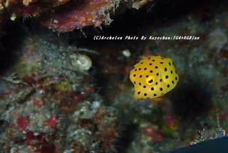 200831-ka-02hako.jpg