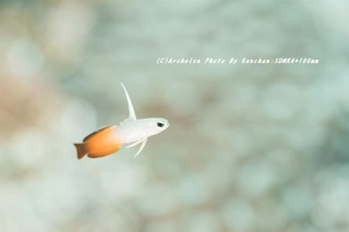 200831-ra-05hata.jpg