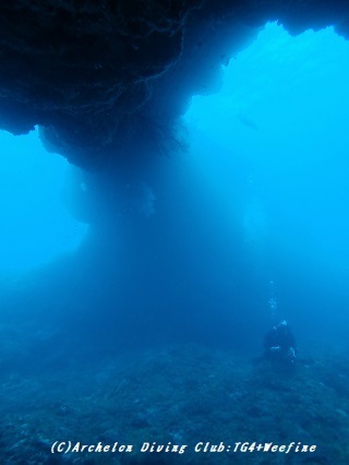 201108-snap320.jpg