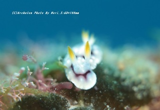 201113-n-01kika.jpg