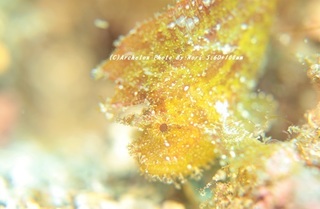 201113-n-03hadakaha.jpg