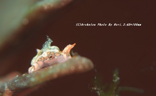 201114-n-04toumon.jpg