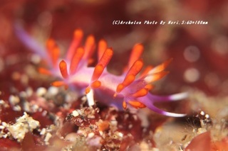 201114-n-05ruuju.jpg