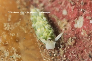 201121-ra-03teng.jpg