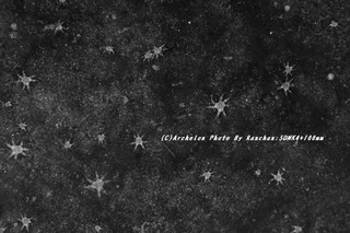 201121-ra-05star.jpg