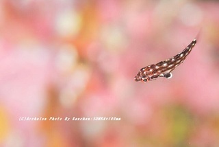 201122-ra-01montuki.jpg