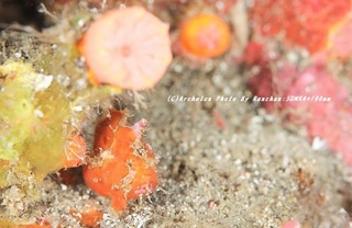 201122-ra-02kero.jpg