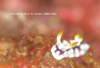 201123-ra-02kika.jpg