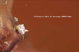 201124-ha-04toumon.jpg