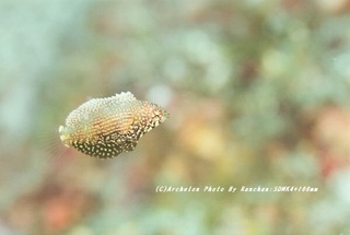 201124-ra-07.jpg