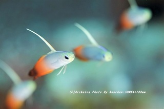 201124-ra-08hatatate.jpg