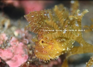 201128-o-01hadaka.jpg