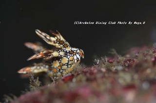 201128-o-02hiodoshi.jpg