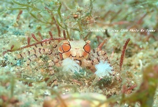201128-t-01kinca.jpg