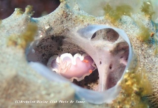 201128-t-02rabenda.jpg