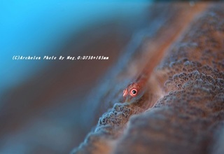 201129-ot-01haze.jpg