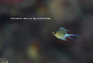 201129-ot-02mar.jpg