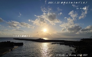 210125-ya02.jpg