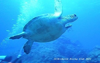 230808-snap03.jpg
