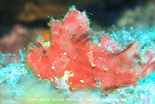 230818-hirat-08hadaka.jpg