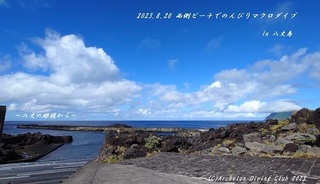 230820-ynn02.jpg