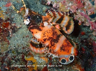 230823-akne-06hire.jpg