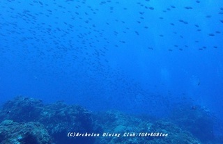 230824-blog.jpg