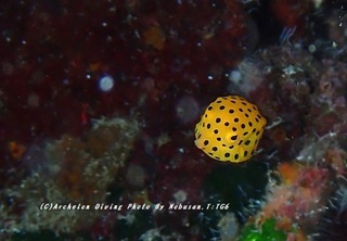 230827-nob-03hako.jpg